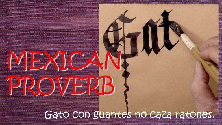 Gato Con Guantes No Caza Ratones Significado Implícito fundamentopsicologia.es